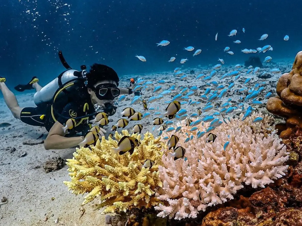 Bright coral reef at the Surin Islands