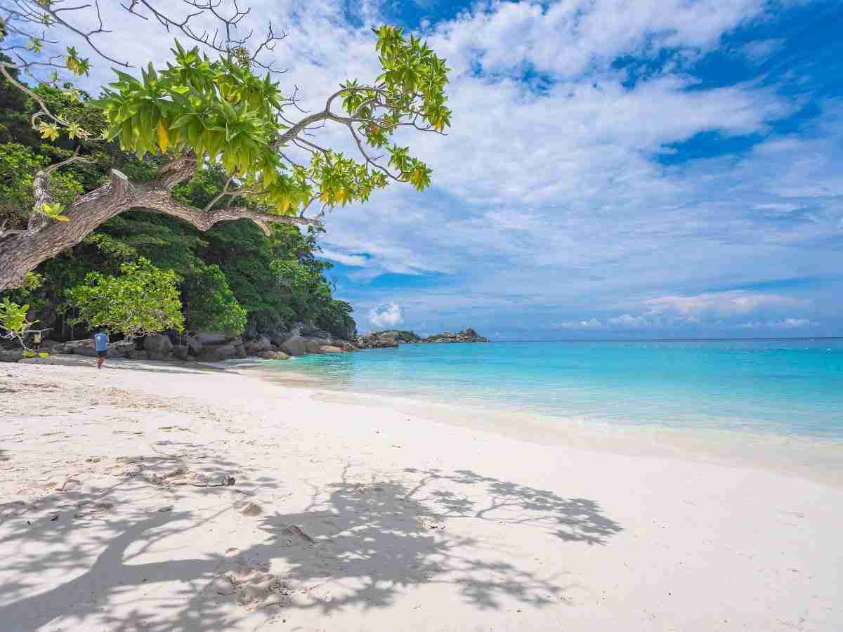 Similan Islands White-sand beach and turquoise water in the Similan Islands