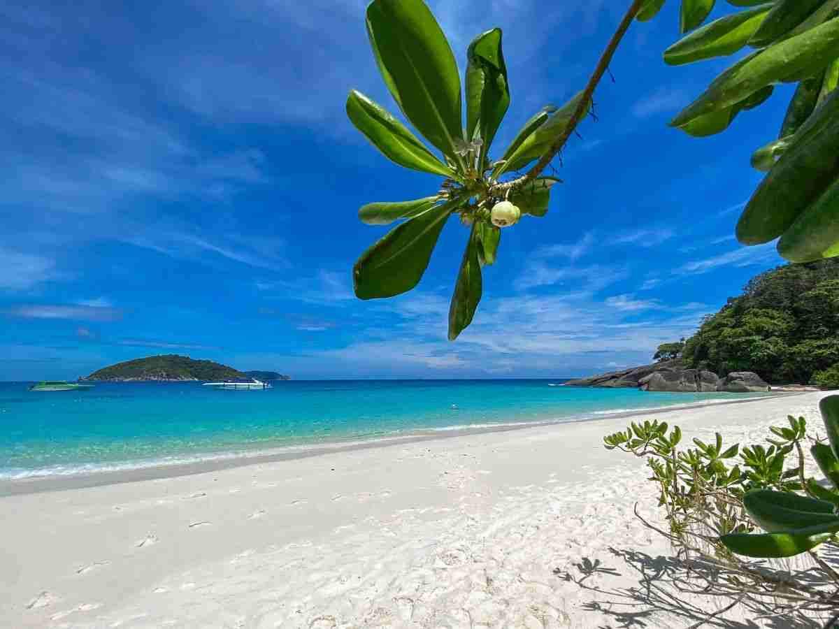 Similan Islands Early Bird Similan Islands speedboat day trip